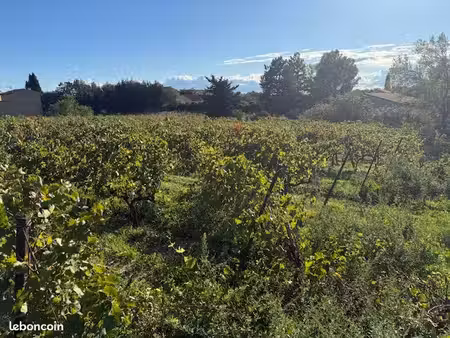 vacqueyras terrains à bâtir