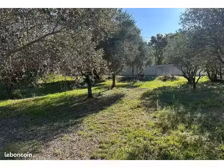 terrain 600 m² l isle sur la sorgue