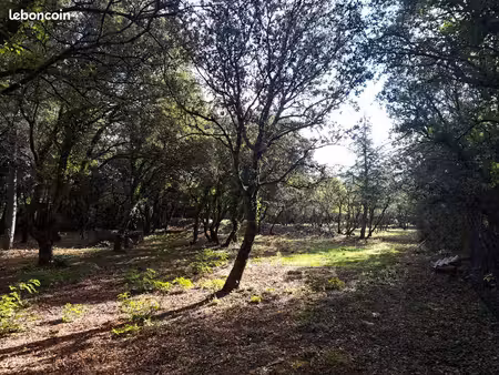 terrain à bâtir de 700 m² à cabrieres-d'avignon (84)