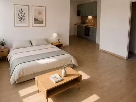 studio meublé 27 m² rénové à neuf avec jardin – faculté jean monnet