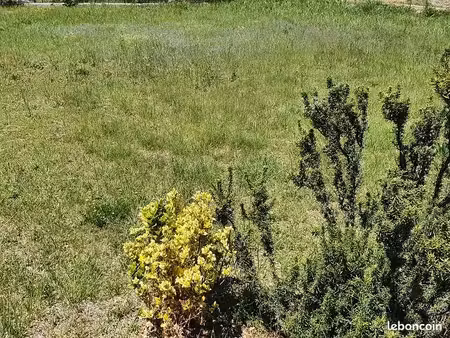terrain 438 m² banyuls sur mer