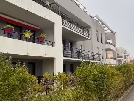 bel appartement - 2 pièces - 55 m² - rdj