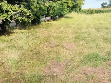 terrain 1 373 m² saint cyr sur menthon