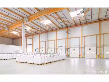 local logistique 11 983 m²