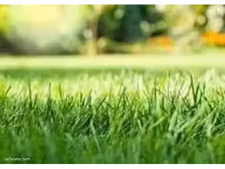 terrain 601 m² falleron