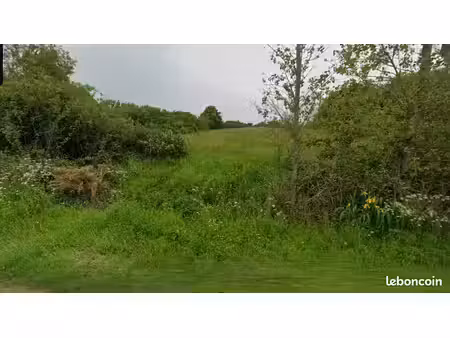 terrain 429 m² sallertaine
