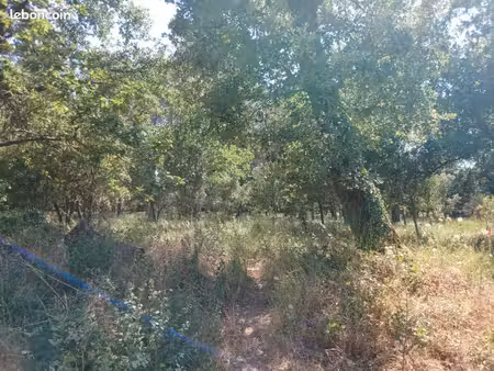 terrain 705 m² gareoult