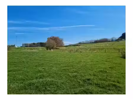 terrain à bâtir à vendre à mierchamps la roche-en-ardenne (vwd18666)