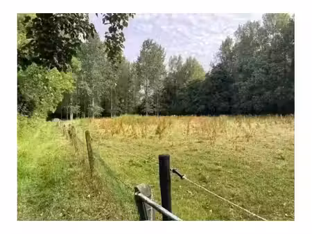 terrain agricole à vendre à langedijk z/n vorst (rbw80980)