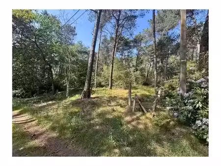 terrain agricole à vendre à volmolenweg meerhout (rbw80965)