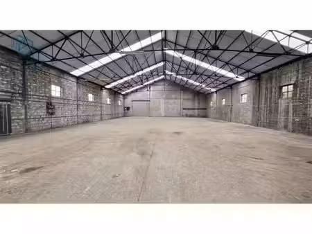 surface industrielle à louer à watermolenstraat 62 lierde (rbw80770)