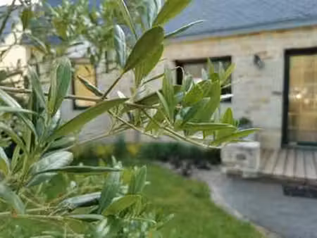 vente maison piscine à saint-avé (56890) : à vendre piscine / 125m² saint-avé