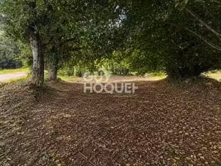 vente terrain à bignan (56500) : à vendre / 2440m² bignan