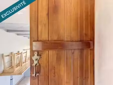 vente maison à chouzé-sur-loire (37140) : à vendre / 120m² chouzé-sur-loire
