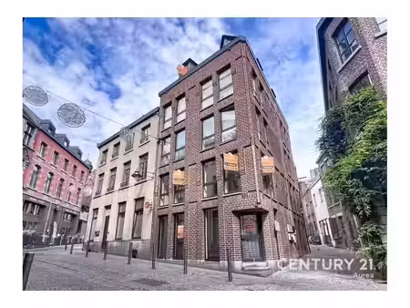 immeuble mixte à vendre avec 9 chambres   mons (vbe62309)