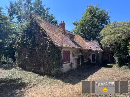 sainte-mesme (78) - maison ancienne à restaurer - 7 000 m² de terrain - 2 granges