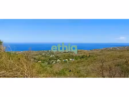 terrain à vendre vieux-habitants