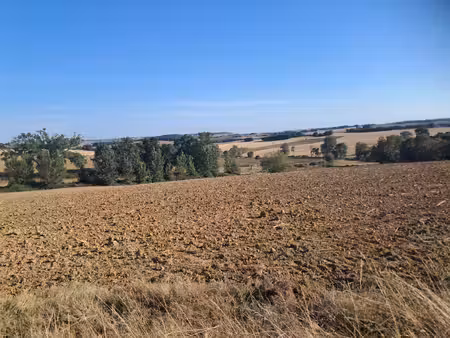 terrain à vendre de 9403m2 pergain taillac (32)