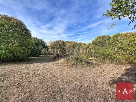 terrain
