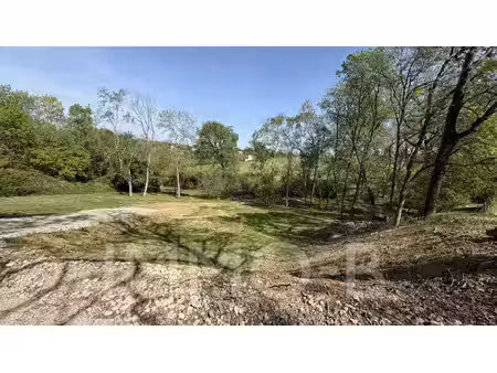 terrain