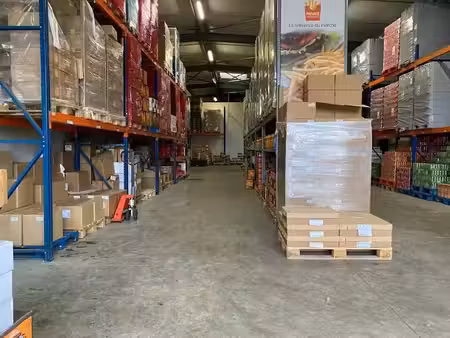 location locaux professionnels 1 pièce 710 m² à toulouse (31000)  5 721 €