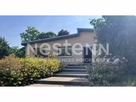 maison de plain-pied - 4 chambres - beaux volumes et vaste terrain arboré