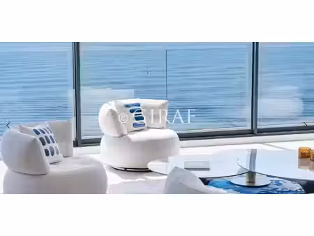 villa avec piscine et jardin nice (06)
