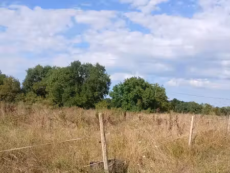 terrain constructible