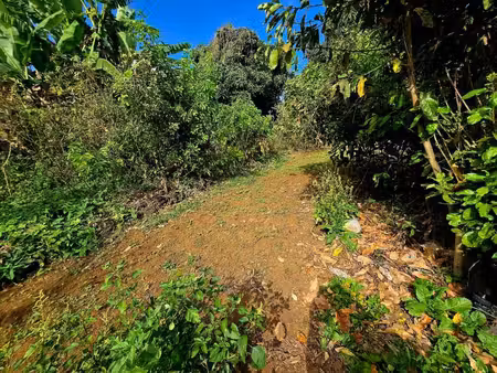 saint pierre - terrain plat 1340 m² fort potentiel !