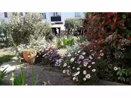 vente immeuble 158 m² à perpignan (66000)  249 000 €