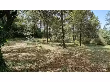 vente terrain neuf 2000m2 saint-maximin-la-sainte-baume - 180000 € - surface privée