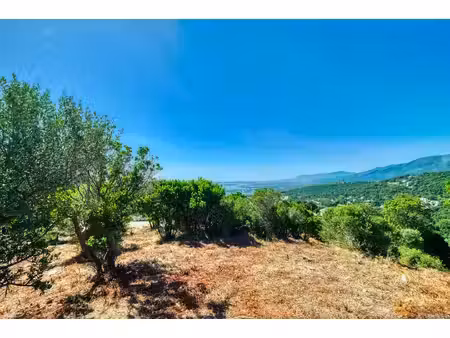 terrain 0 pièces 3600 m² à vendre / acheter bastia 20200 ? | era immobilier