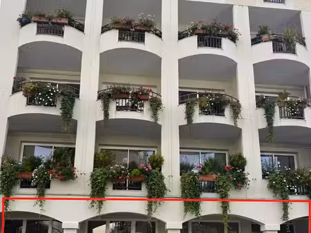 dax - local 250m²
