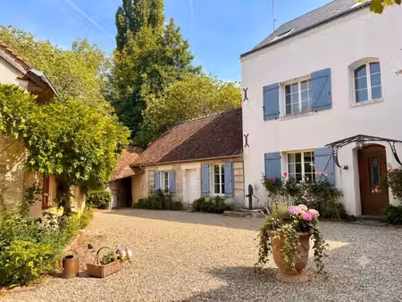 achat maison 19 pièces 359m² perrusson 37600