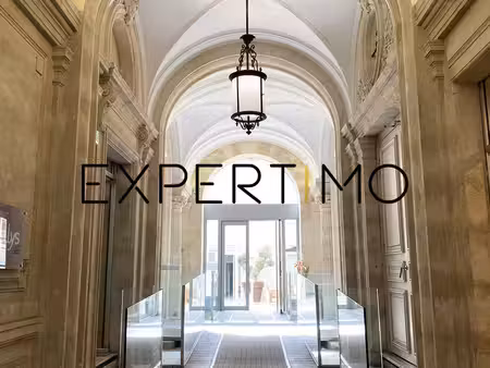 hôtel particulier luxueux  investissement meublé  géré