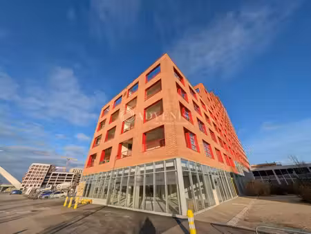 location commerce strasbourg 67000 228m²