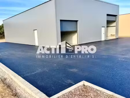 location local commercial 290m2 ille-sur-têt 66130 - 3625 € - surface privée
