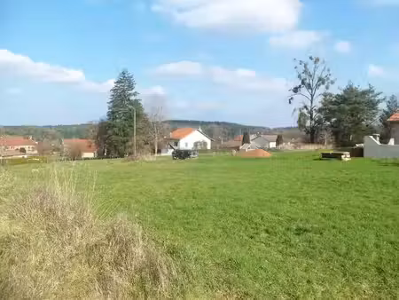 vente terrain 1450 m² à baccarat (54120)  28 600 €