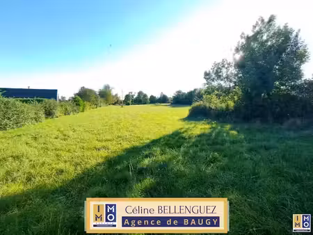 vente terrain à batir 10125 m² à baugy (18800)  43 000 €