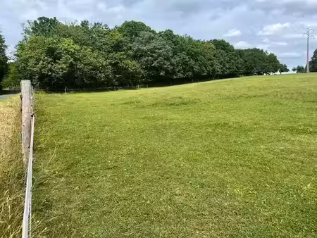 vente terrain 3300 m² à cause-de-clérans (24150)  25 000 €