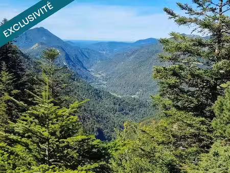 vente terrain 126310 m² à couflens (09140)  35 000 €