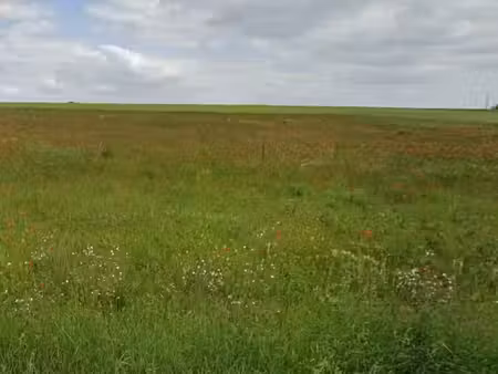 vente terrain 1170 m² à moulins-sur-yevre (18390)  19 900 €