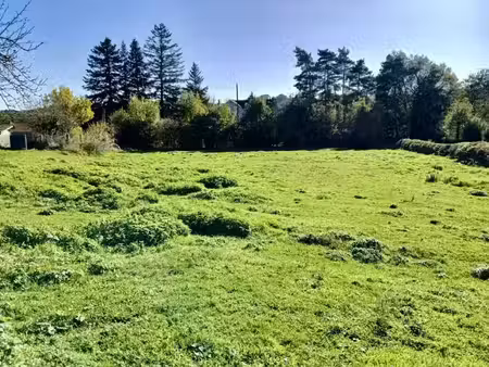 vente terrain 1000 m² à sansac-de-marmiesse (15130)  40 000 €