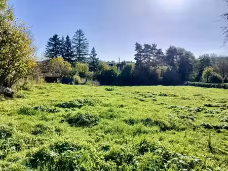vente terrain 1000 m² à sansac-de-marmiesse (15130)  40 000 €