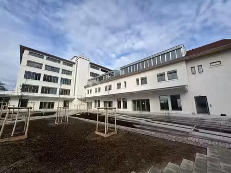 location bureaux strasbourg 67000 315m²