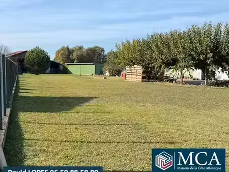 vente terrain 1367 m² à castillon-la-bataille (33350)  45 000 €
