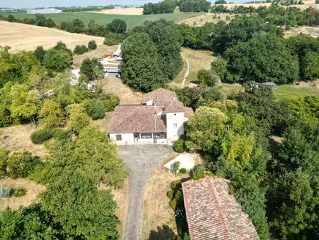 secteur lomagne  activité professionnelle touristique avec résidence principale et atelier