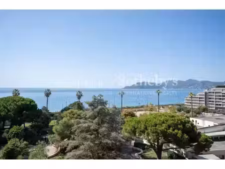 cannes plages du midi  2 pièces vue mer avec piscine et garage