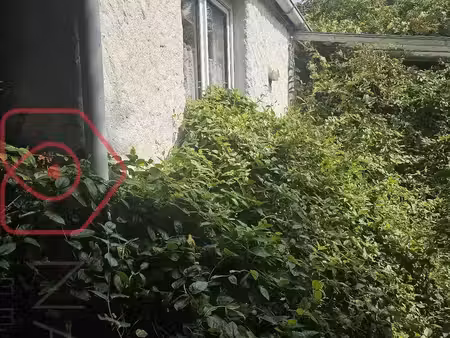 vente maison 5 pièces 80 m² criel-sur-mer (76910)