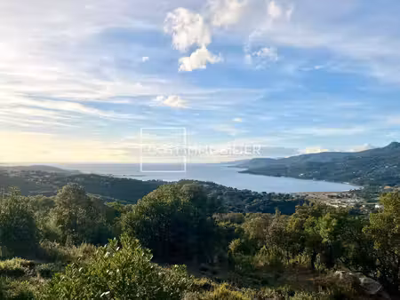viggianello - terrain constructible vue mer et montagnes - 2000m2